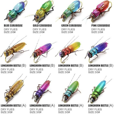 22 Boxed Set Dry Flies Beetles Caradibaes