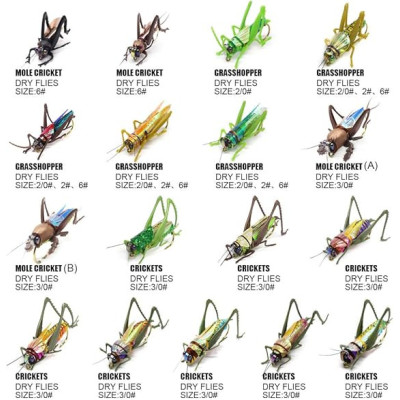 30 Boxed Set Dry Flies Crickets Grasshoppers