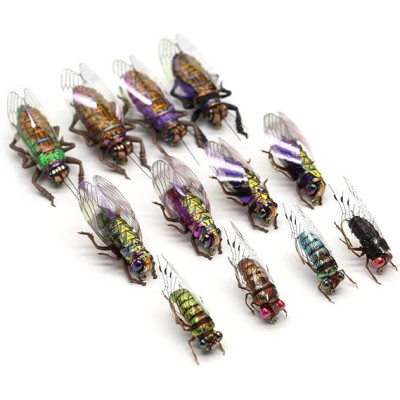 12 Cicada Kit Dry Flies