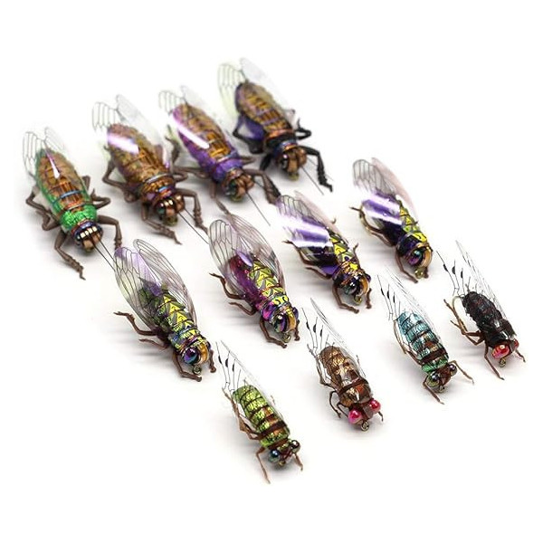 12 Cicada Kit Dry Flies