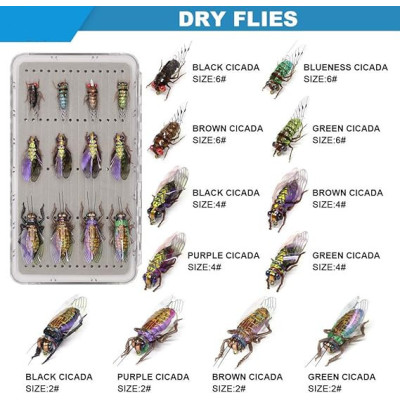 12 Cicada Kit Dry Flies