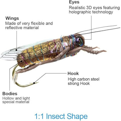 12 Cicada Kit Dry Flies