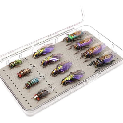 12 Cicada Kit Dry Flies