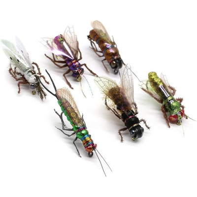 12 moscas secas Moth Stone Fly Horsefly