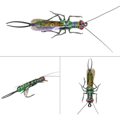 12 mosca seca, polilla, mosca de piedra, mosca de caballo