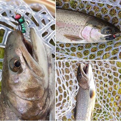 12 mouches de viande set Dry fly