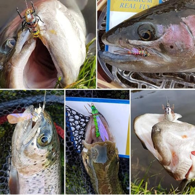 36 Moscas mistas de pesca com mosca