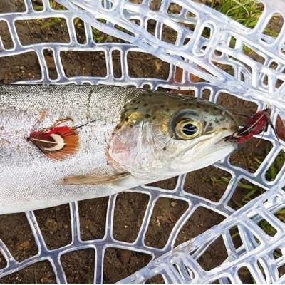 16 mouches mélangées tête de perle mouches sèches et humides