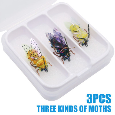 3 Moths Three Varieties Boxed