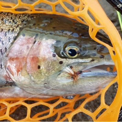 16 Streamer Fliegen Bead Head Dry Wet Flies