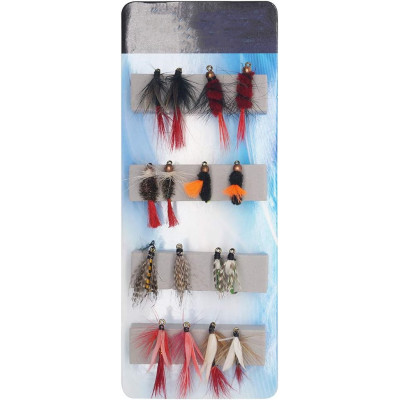 16 Flies Kit Dry Wet Flies