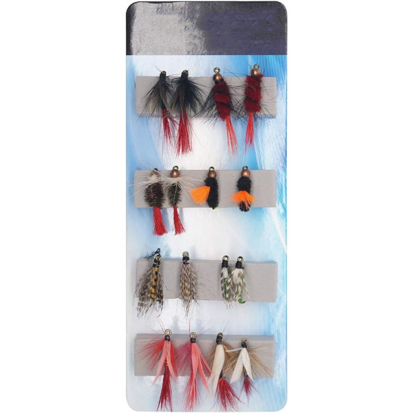 16 Flies Kit Dry Wet Flies