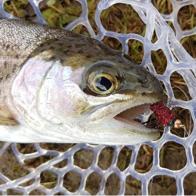 16 Flies Kit Dry Wet Flies