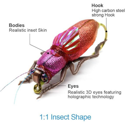 3 Dry Flies Crickets Cicada Carabidae