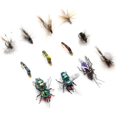 Comp Box Dry Wet Flies