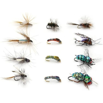 Comp Box Dry Wet Flies