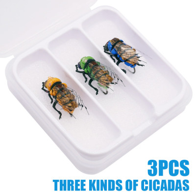 3 Cicadas Caixas