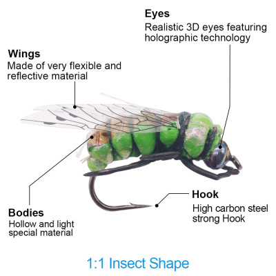 3 Cicadas Boxed