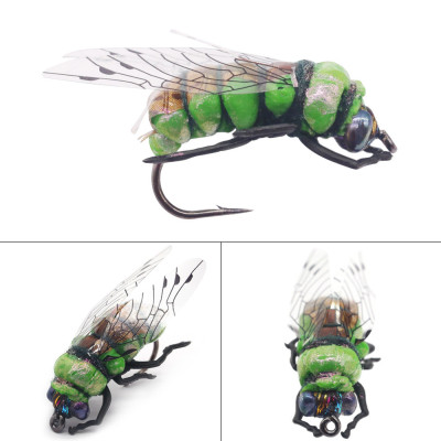 3 Cicadas in scatola