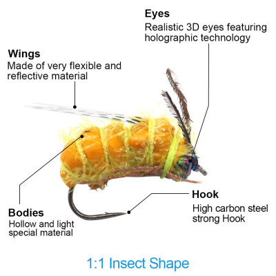 Fly secco della falena realistica