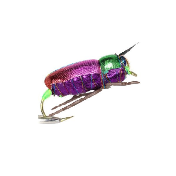 Fly Bait Realistic Scarab Beetle Dry Fly