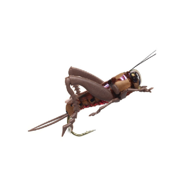 Dry Fly Realistic Mole Cricket