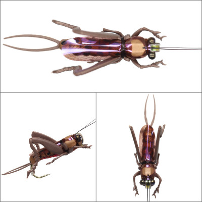 Dry Fly Realistic Mole Cricket