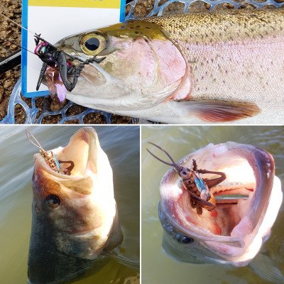 Saltamontes realistas vuelan para pescar anzuelos marrones