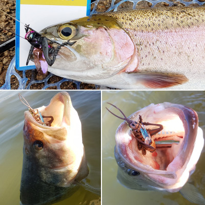 Saltamontes realistas vuelan para pescar anzuelos amarillos