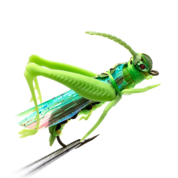 Réaliste Grasshopper pêche à la mouche hameçon vert