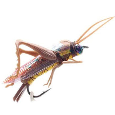 Realistic grasshopper fly Brown