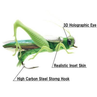 Realistic grasshopper fly green