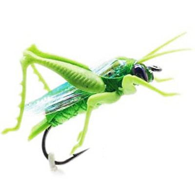 Grasshopper realistica fly green