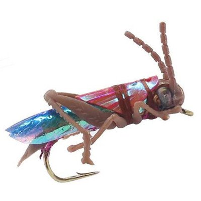 Realistic grasshopper fly fishing bait brown