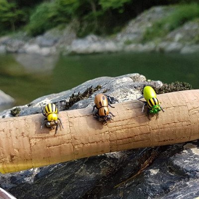 Insetto di frutta della schiuma realistica Fly secco