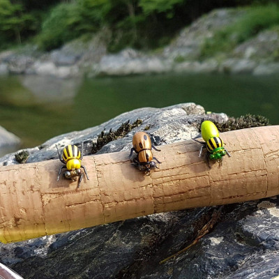 Mosca seca de insectos de frutas de espuma realista