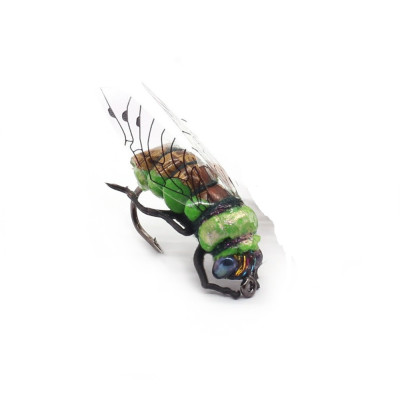 Realistic Cicadas