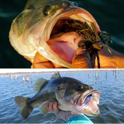 3 pinces de pêche en caoutchouc