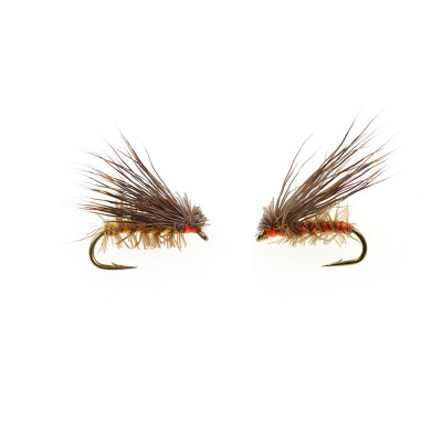 10 Mosche Caddis-Secche per Capelli di Cervo