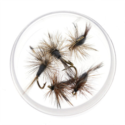 Caja Adams Fly Dry Fly gris