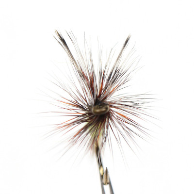 Boîte Adams fly Dry fly gris