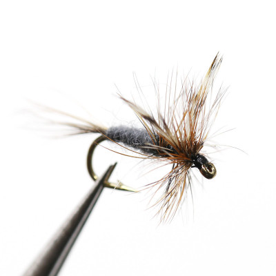 Boîte Adams fly Dry fly gris