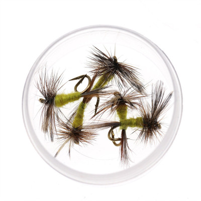 Addams giallo in scatola Fly-Dry Fly