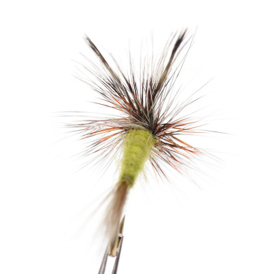 Addams giallo in scatola Fly-Dry Fly