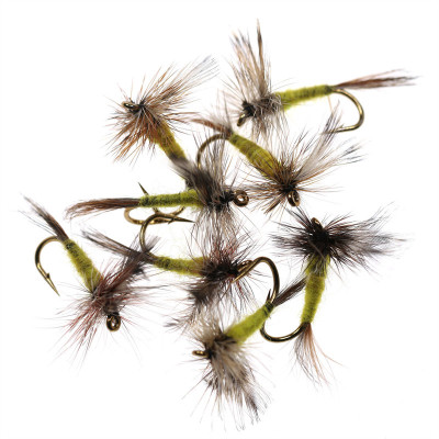 Addams giallo in scatola Fly-Dry Fly