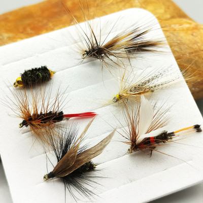 6 Wet Fly Baits Lure