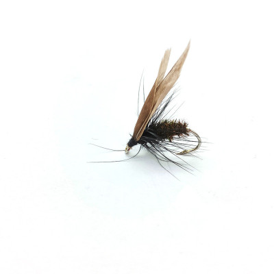 6 Wet Fly Baits Lure