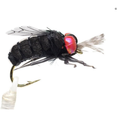 12 Dry Flies -Flesh Flies Fever Mosquitos