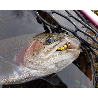 Conjunto de moscas de pesca com mosca realista 12 peças