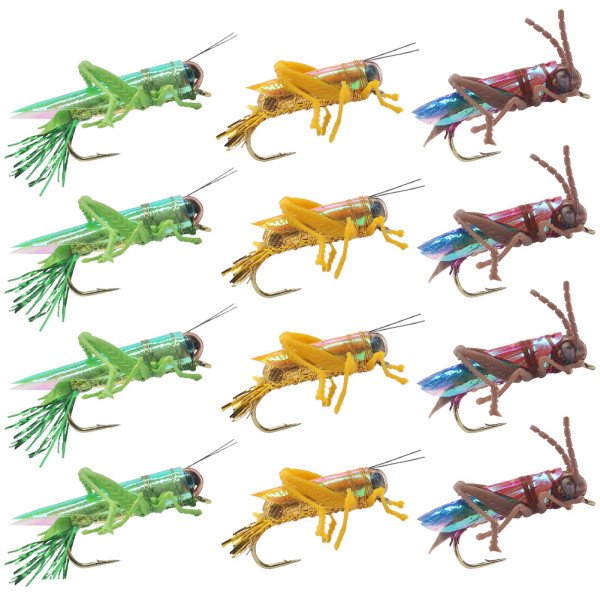 12 saltamontes mezclados en 3 colores